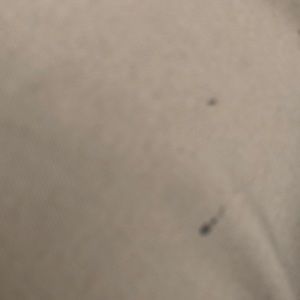 Meet your Posher, Juan